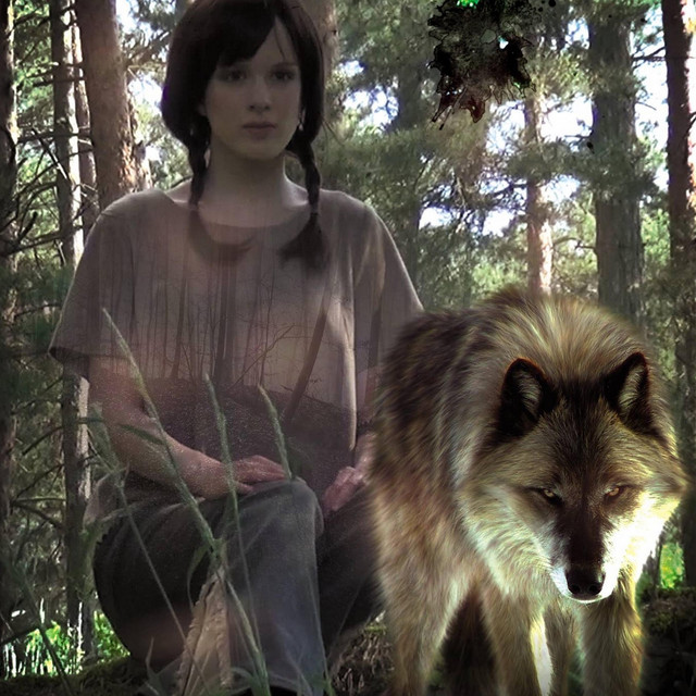 Обкладинка: Wild — Lisa Schettner