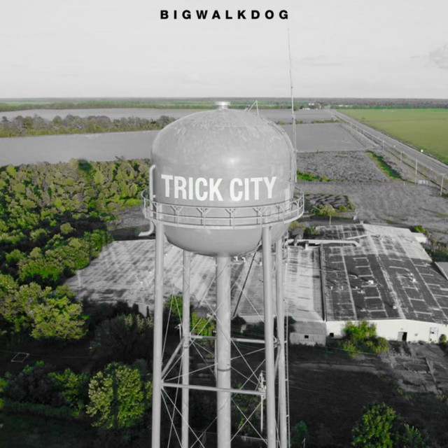 Trick City (Deluxe) cover art