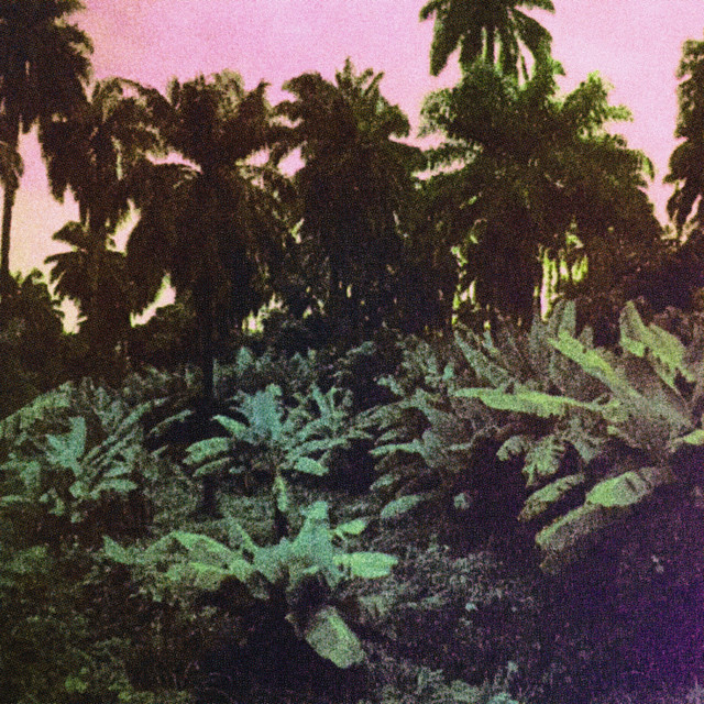 Cuts cover