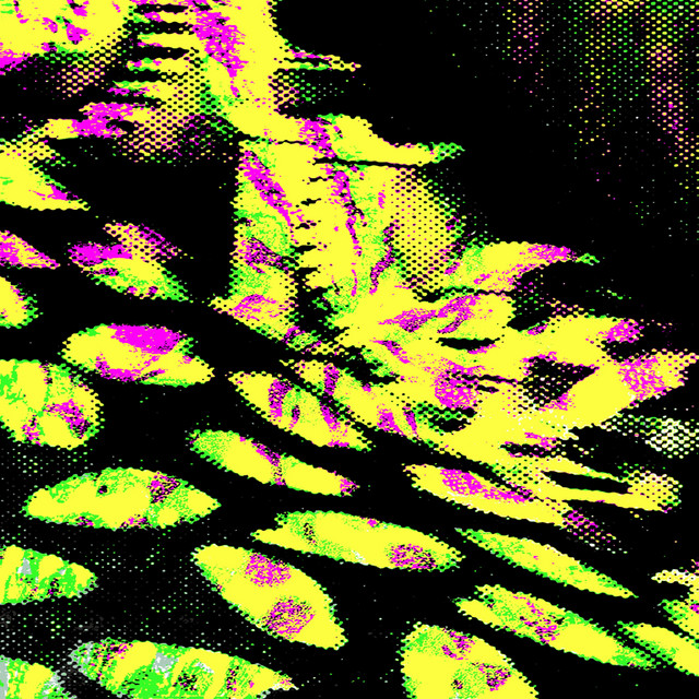Acid Viewer album art