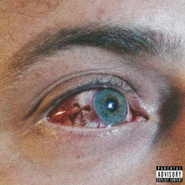 Drones cover art