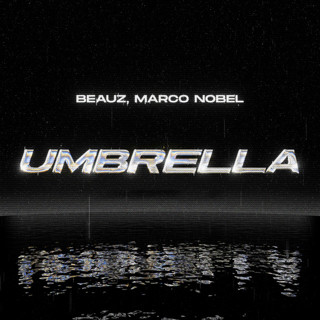 Umbrella cover art
