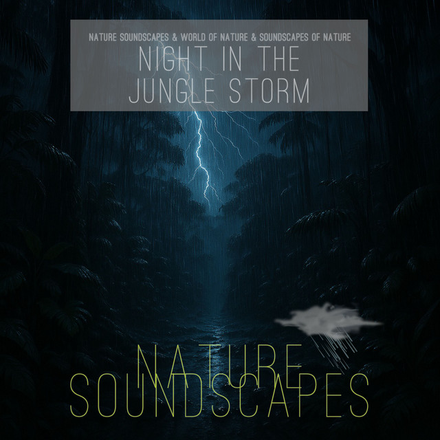 Night in the Jungle Storm