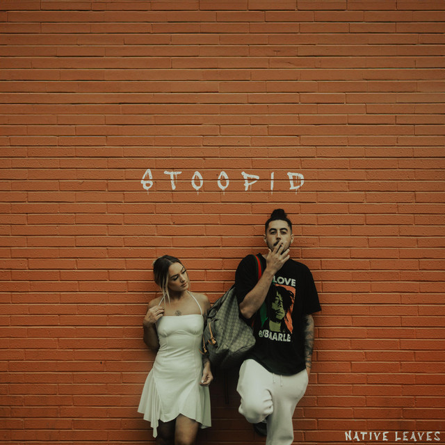 Stoopid