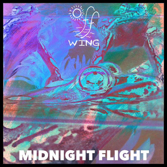 Midnight Flight cover art