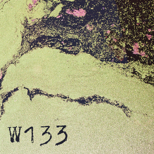 W133008 cover art