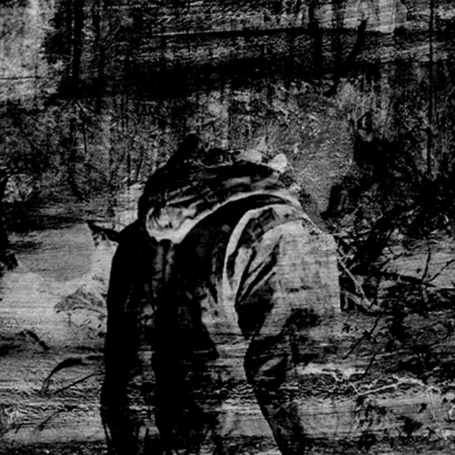 Feed cover art
