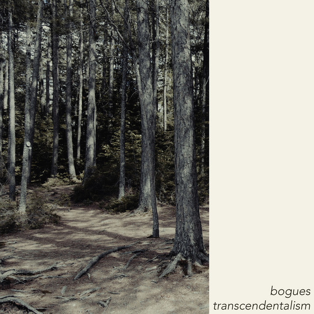 Transcendentalism cover art