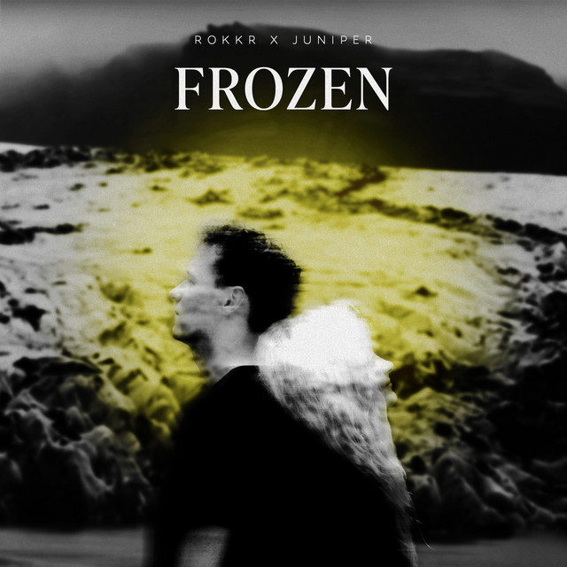 Frozen cover art