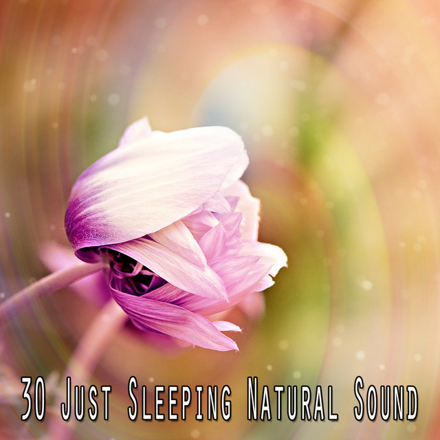 30 Just Sleeping Natural Sound - Album by Sounds of Nature Relaxation ...