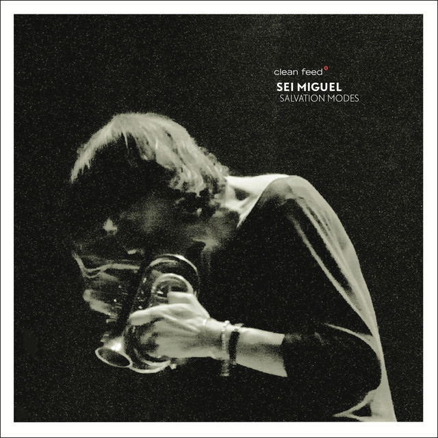 Sei Miguel