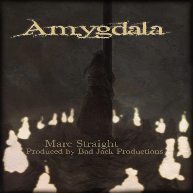 Amygdala cover art