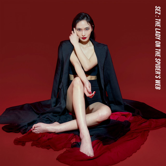 The Lady on the Spider's Web cover art