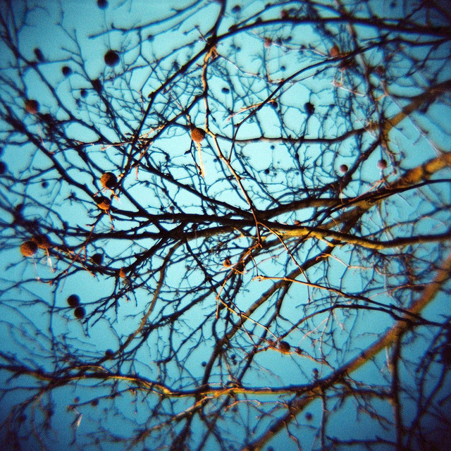 A Heart That Bleeds cover