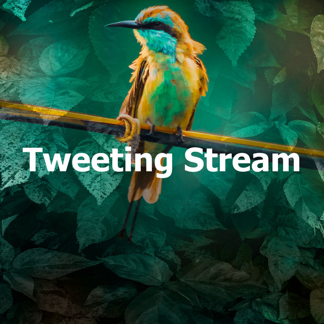 Tweeting Stream cover art