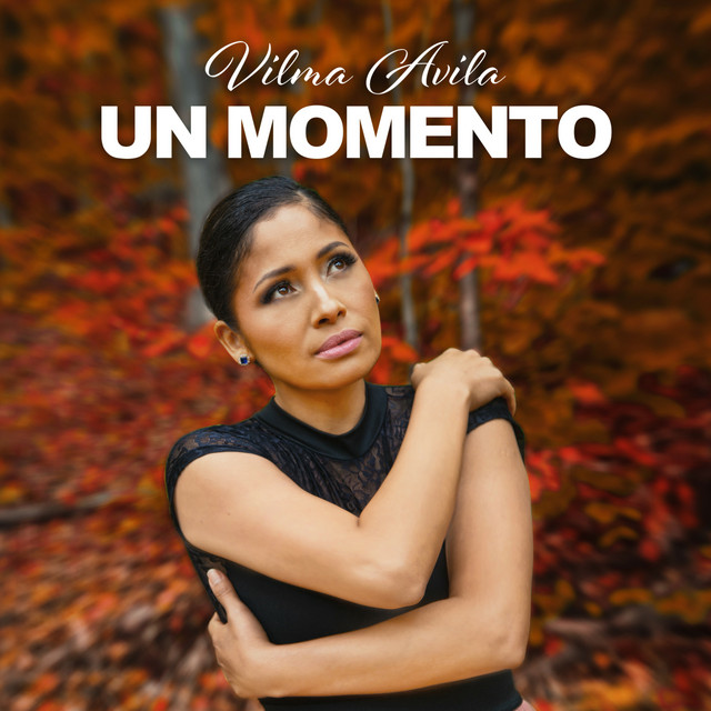 Un Momento - Single by Vilma Avila | Spotify