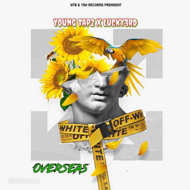 Overseas cover