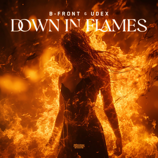 Down In Flames cover art