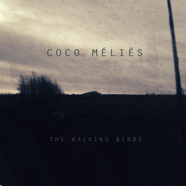 The Walking Birds cover art