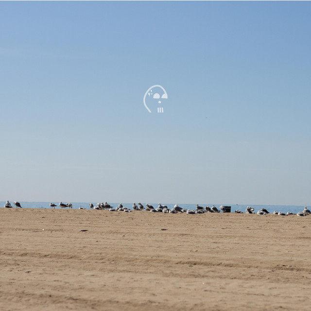 Skull Beach cover art