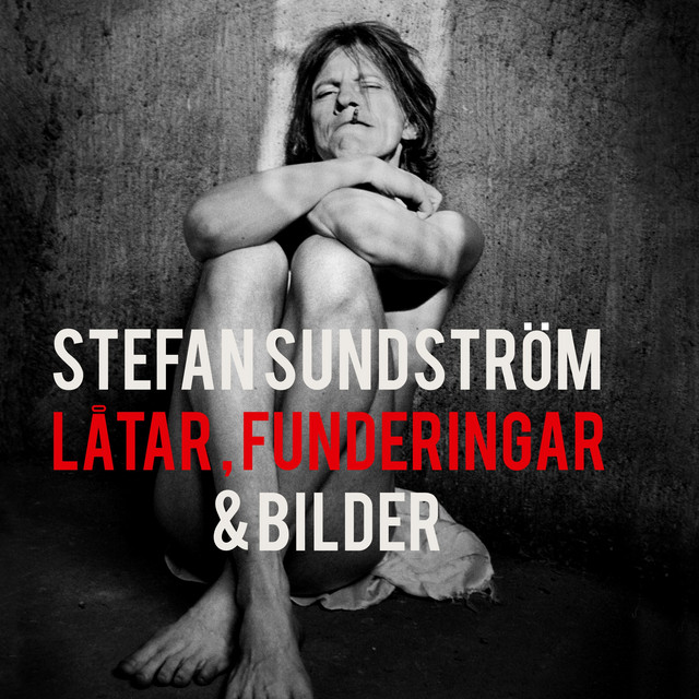 Omslag för Låtar, Funderingar & Bilder av Stefan Sundström