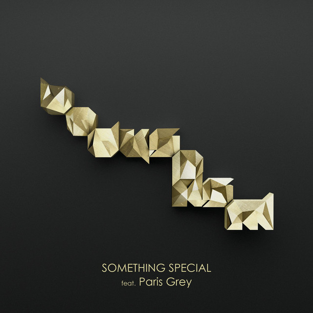 Something Special (feat. Paris Grey) cover