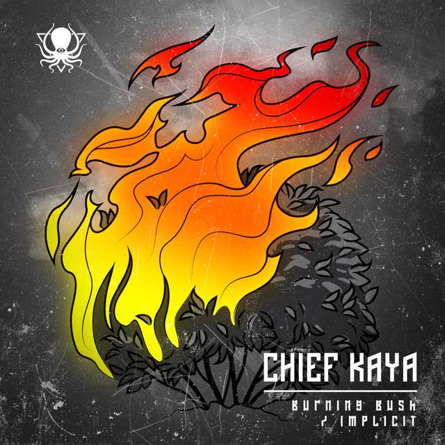 Burning Bush album art