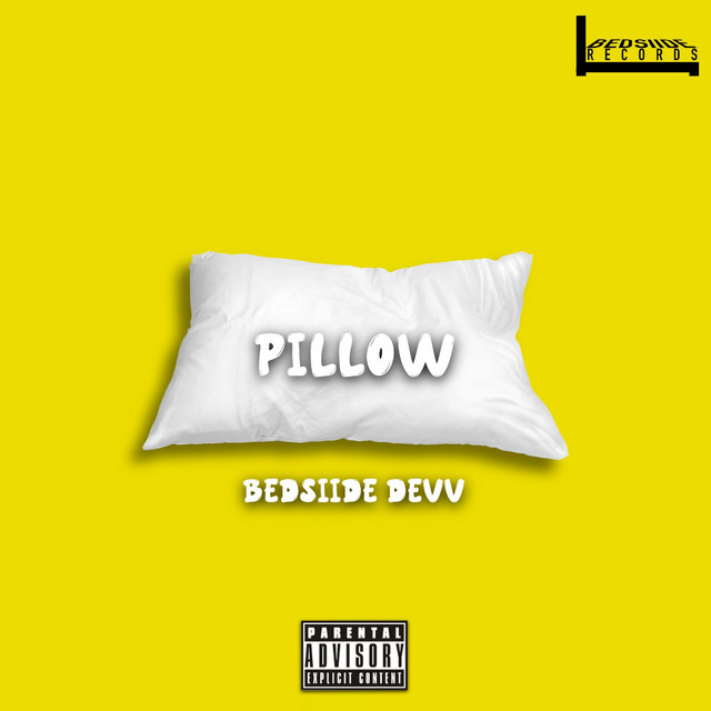 Pillow cover art