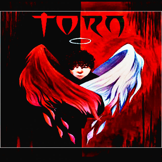 TORN cover art