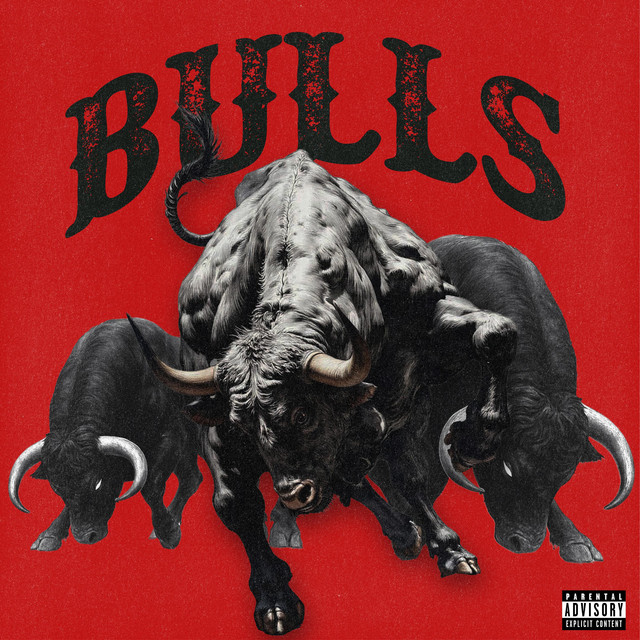 Bulls