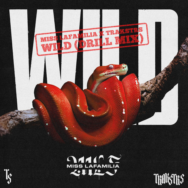 Wild - Trakstrs Remix