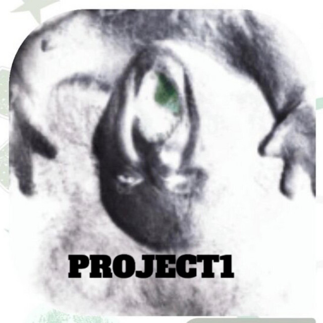 Project1 cover art