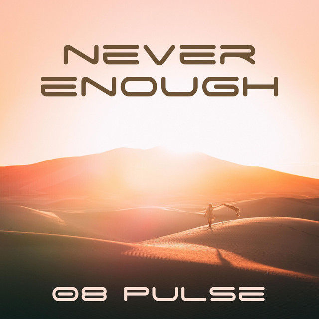 Never Enough cover art