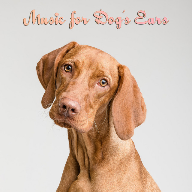 Music for Dog's Ears cover art