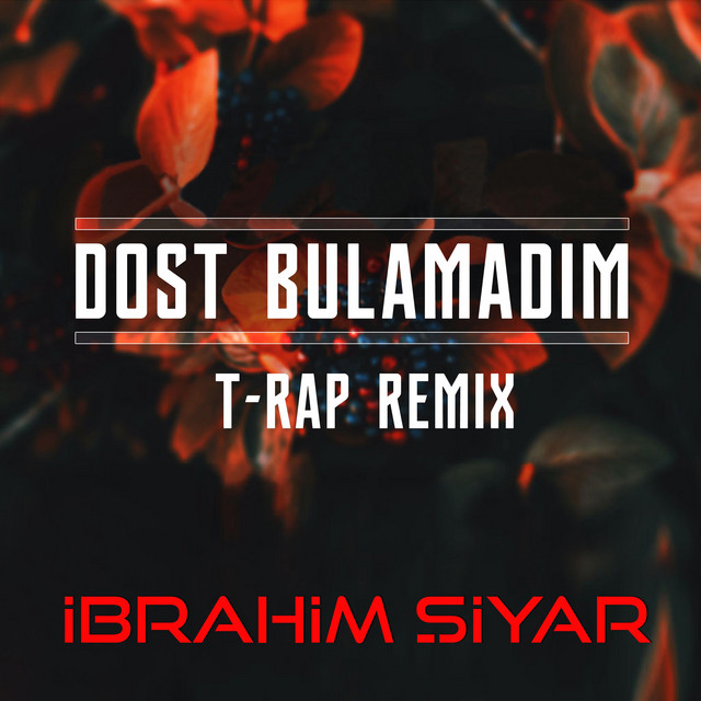 İbrahim Şiyar - Dost Bulamadım (T-Rap Remix)