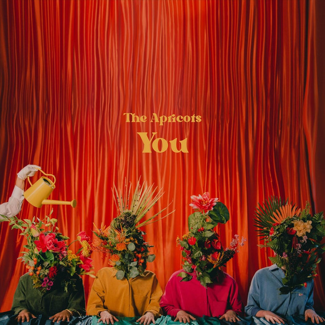 You album image