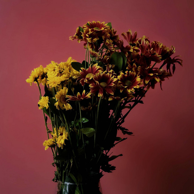 Debes Irte cover art