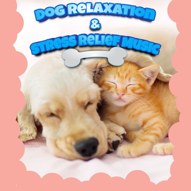 Beautiful view of Pawsome Calming Music For Separation Anxious Dogs
