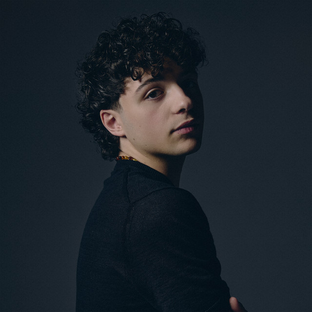 Capa de Rollercoaster - Lorenzo Salvetti