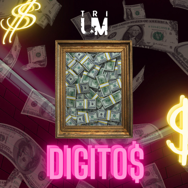 Digito$ cover art