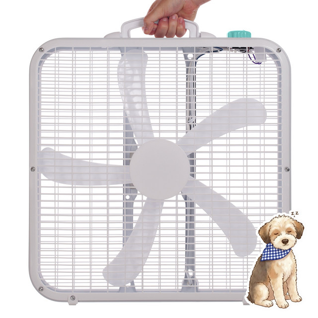 Box Fan Plus
