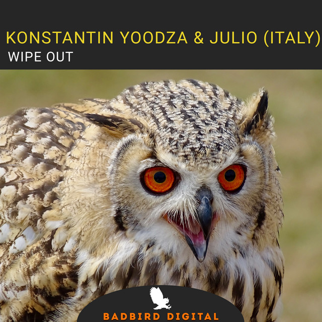 Обкладинка Konstantin Yoodza — Wipe Out