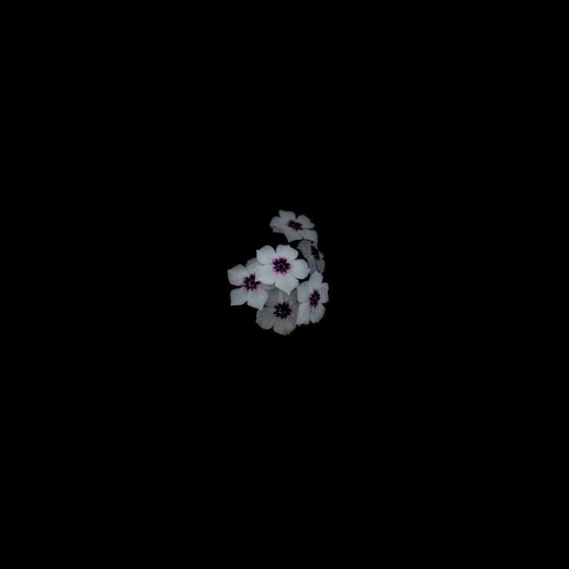 ether cover art