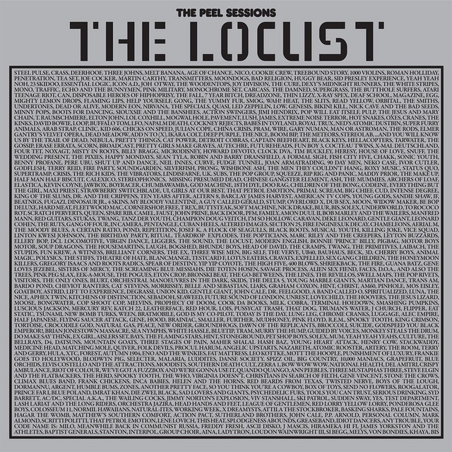 The Peel Sessions LP cover art