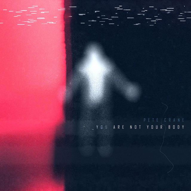 You Are Not Your Body cover