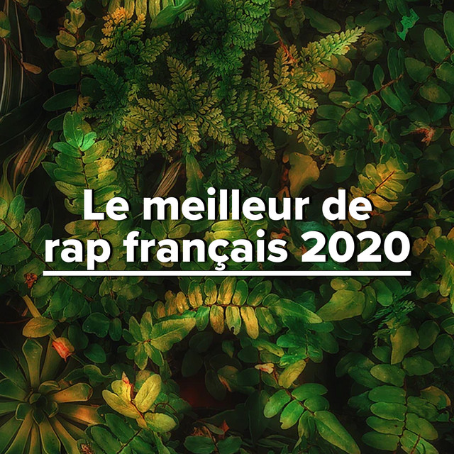Le meilleur de rap français 2020 cover art
