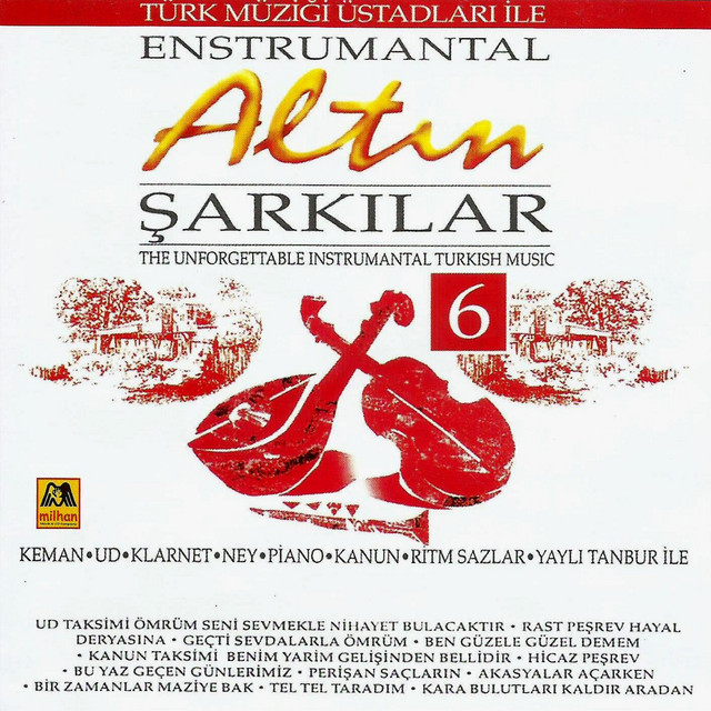 Enstrumantel Altın Şarkılar 6 cover