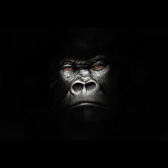 Harambe cover art
