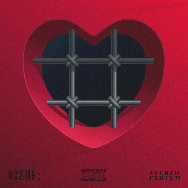 BACHE. cover art