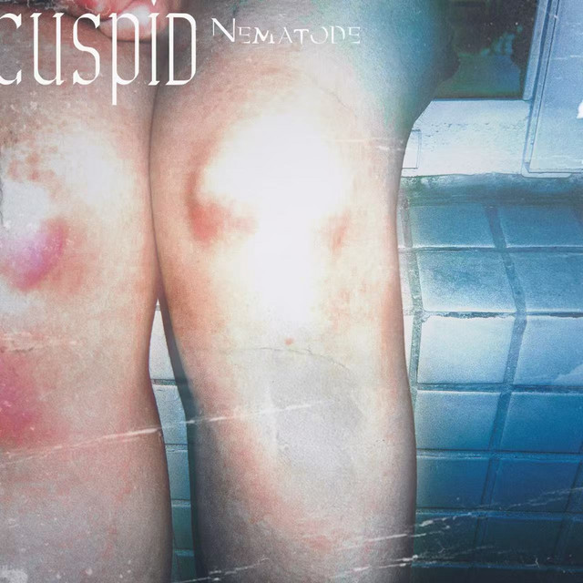 Nematode cover art